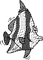 Ribox Usamlenus-Strahiticus